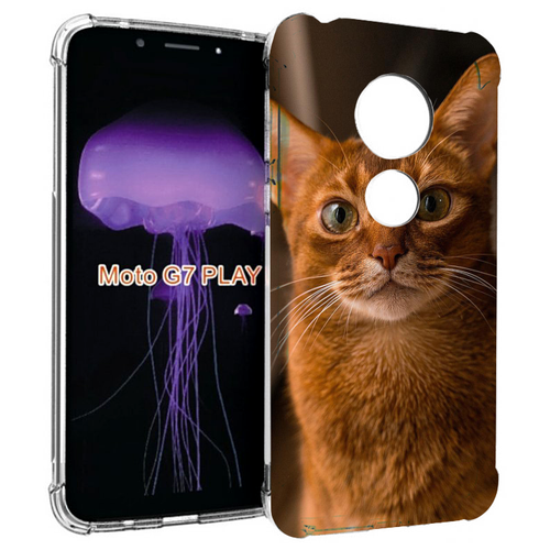 Чехол MyPads порода кошки абисинская для Motorola Moto G7 Play задняя-панель-накладка-бампер