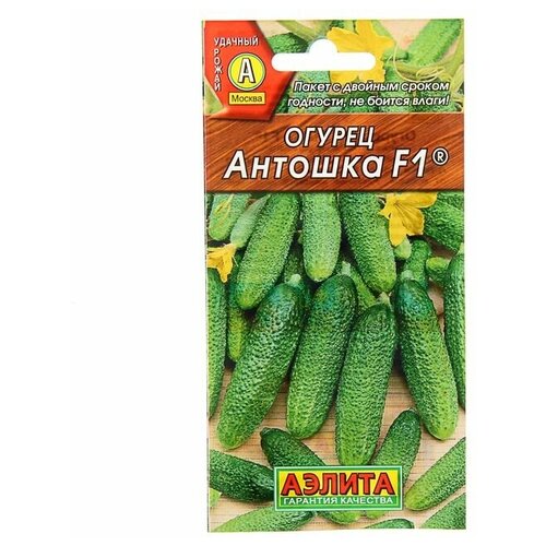 Семена огурца Антошка, F1, 0,3 г, 10 шт