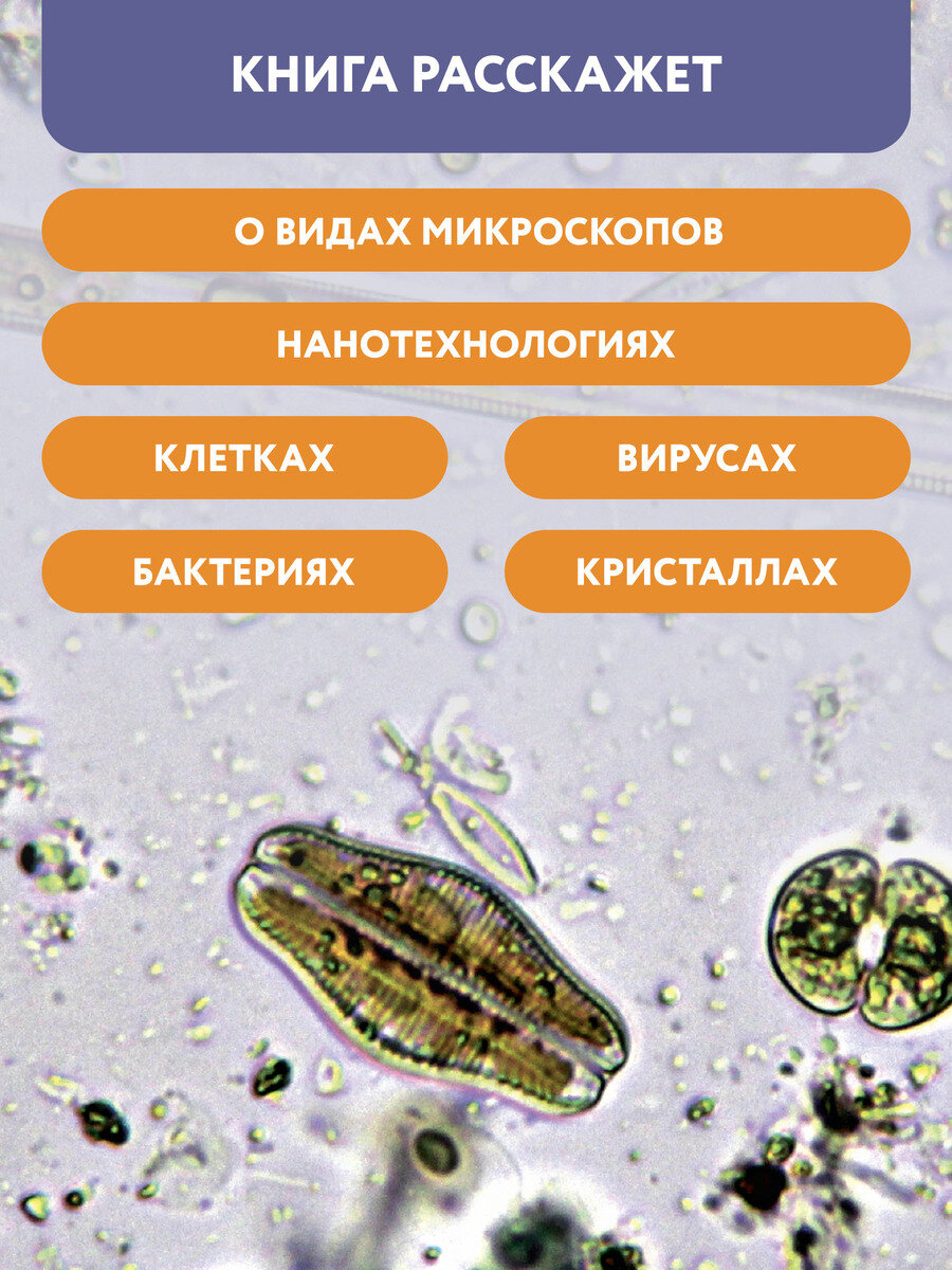 Микромир: наблюдаем в микроскоп: самая умная энциклопедия - фото №6