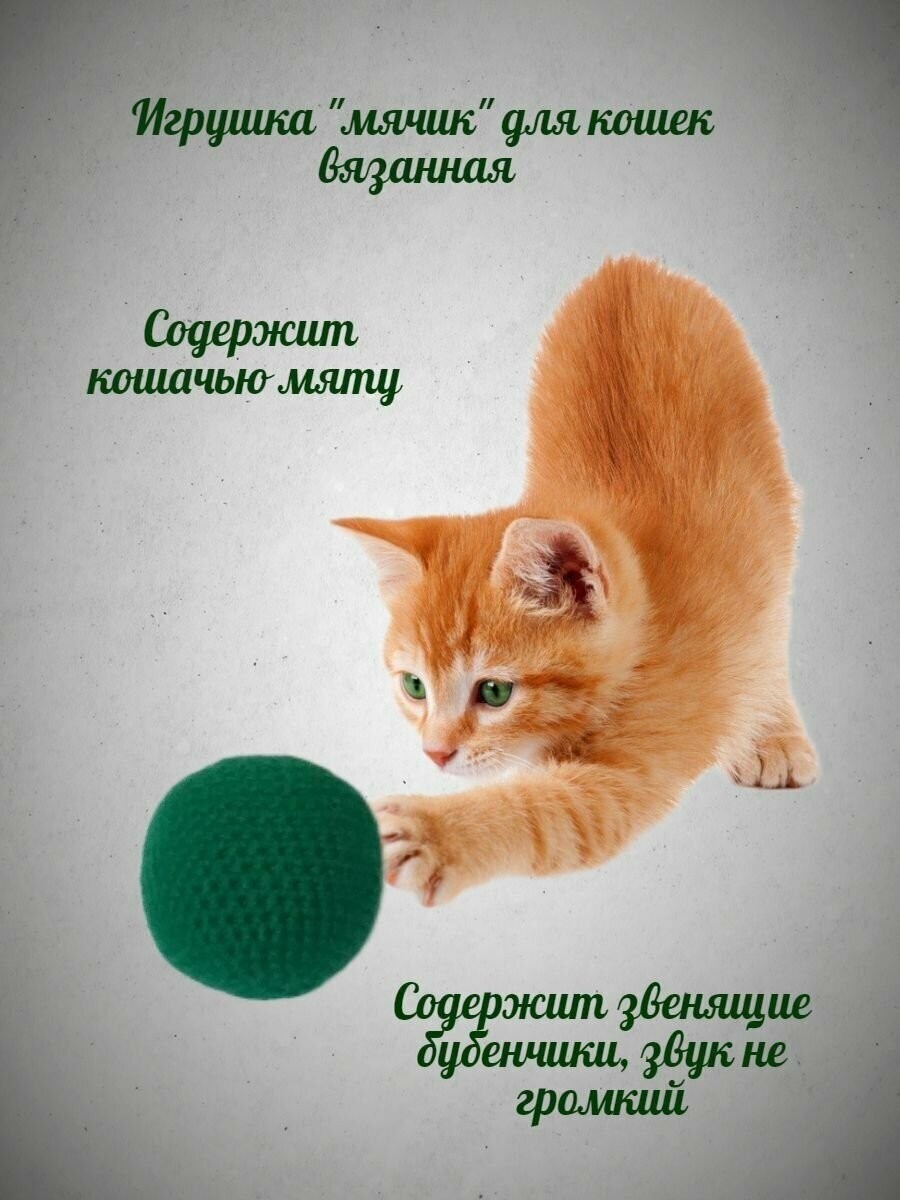 Мяч с кошачьей мятой для кошек и собак мелких пород - фотография № 1