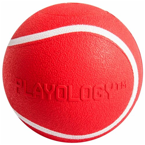 Playology хрустящий жевательный мяч SQUEAKY CHEW BALL 6 см с пищалкой и с ароматом говядины, красный rogz мяч с пищалкой squeekz красный squeekz ball 0 059 кг