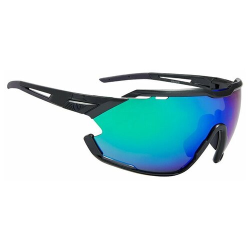 фото Очки northug gold performance (черный)