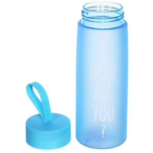 Нордвест+ Бутылка для воды, цвет Голубой 520 мл