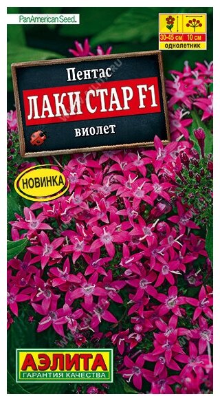 Семена. Пентас "Лаки стар F1 виолет" однолетник (драже в пробирке 3 штуки)