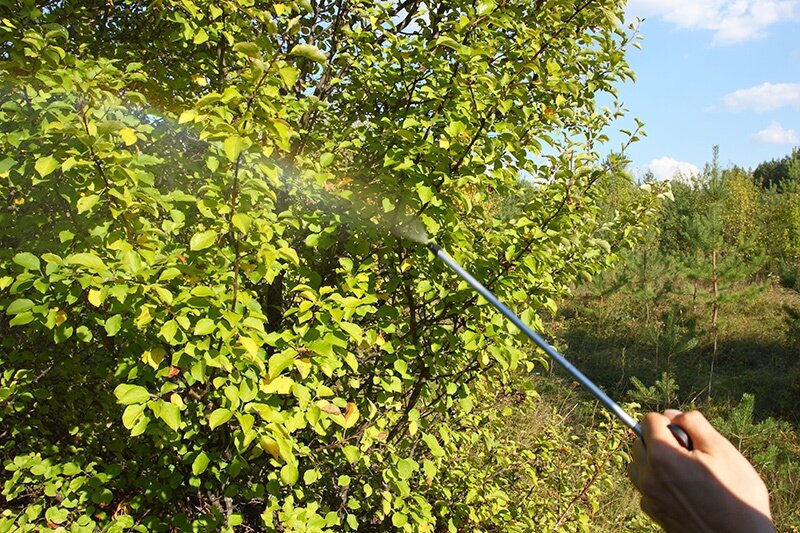 Гидравлический опрыскиватель с мелкодисперсным распылением садовый ОГ-307М, предназначен для защиты растений при помощи распыления растворов химикатов, а также натуральных и биологических средств защи - фотография № 4