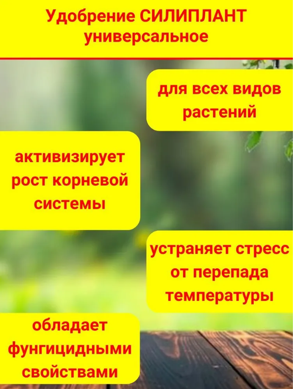 Кремнийсодержащее универсальное удобрение, Силиплант, 100 мл, 3 шт. - фотография № 4