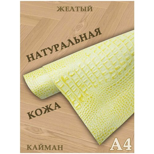 Кожа натуральная/Формат А4/Кожа рептилии Кайман 1,0-1,2мм цв. желтый лимонный крокодил