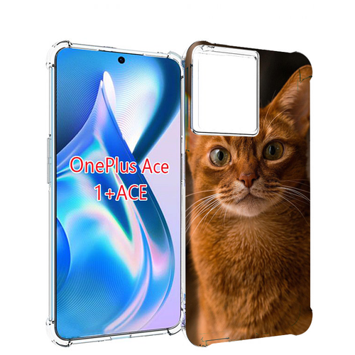 Чехол MyPads порода кошки абисинская для OnePlus Ace задняя-панель-накладка-бампер