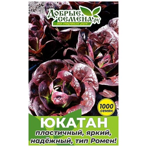 салат греческий уп 300 400 г Семена салата Юкатан - 1000 шт - Добрые Семена. ру