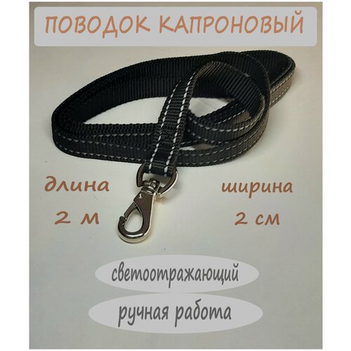 Поводок капроновый со светоотражающими элементами длина 2 метра ширина 20 мм