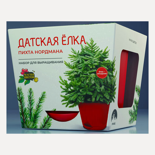 Изображение товара Магия Цветов Набор для выращивания растений Датская ёлка mf-009-JO72 домашний комплект зелени