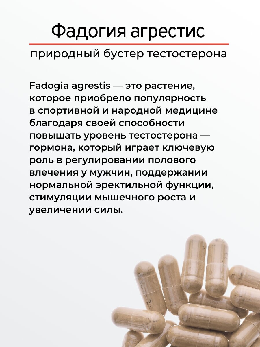 Картинки Фадогия Агрестис, Природный бустер тестостерона, 90 капсул по 650 мг, - "Русские корни"