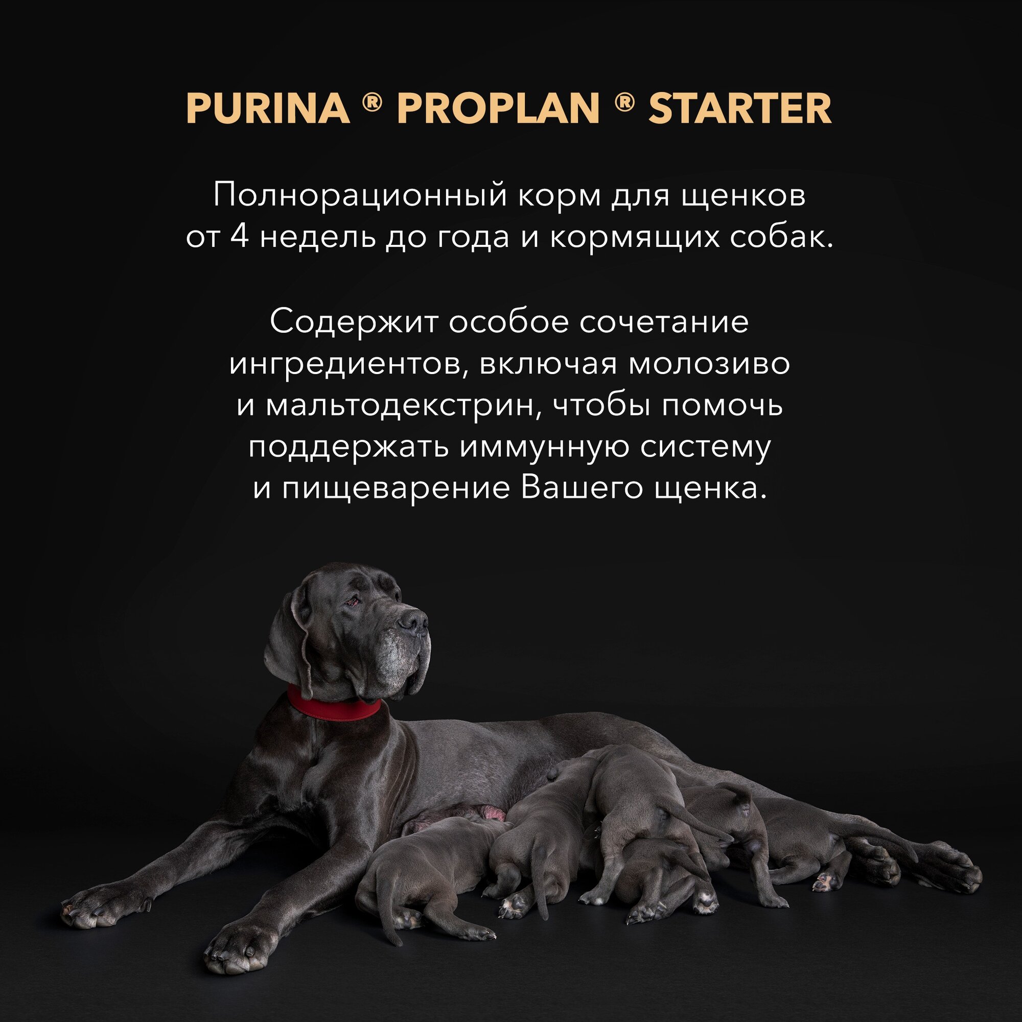 Сухой корм Pro Plan для щенков средних и мелких пород, курица, 12кг Purina ProPlan - фото №16