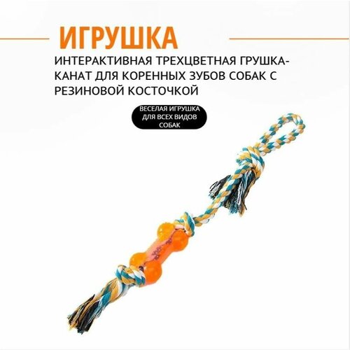 Интерактивная трехцветная грушка-канат для коренных зубов собак с резиновой косточкой