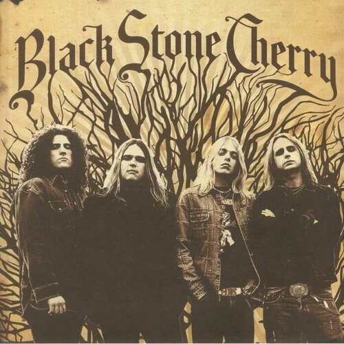 Black Stone Cherry Виниловая пластинка Black Stone Cherry Black Stone Cherry ibuse m black rain japan s modern writers