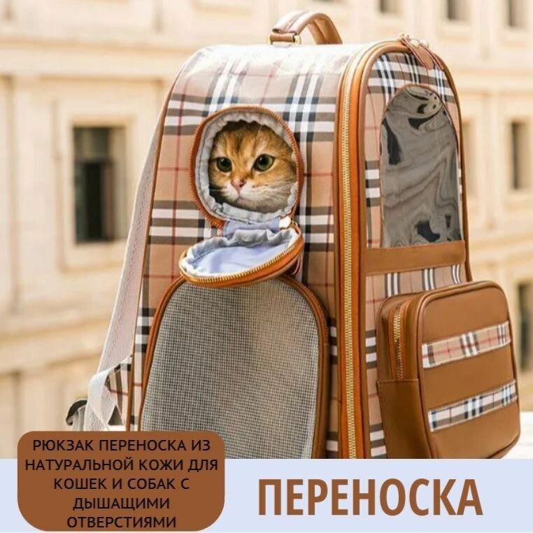 Рюкзак переноска из натуральной кожи для кошек и собак с дышащими отверстиями - фотография № 1