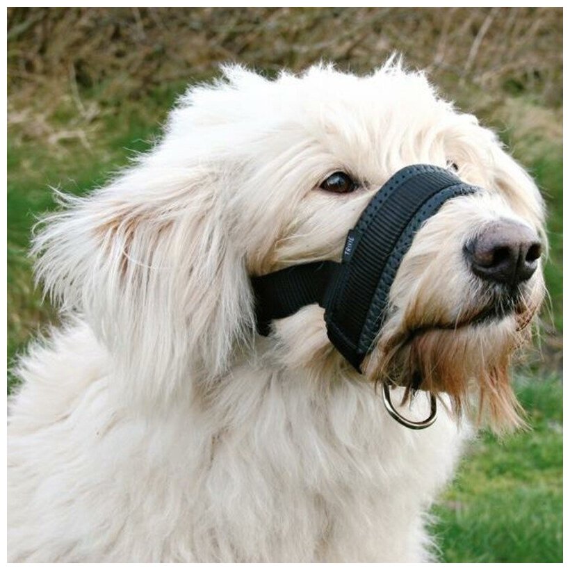 Намордник петля для собак крупных пород Trixie Muzzle Loop размер XL-XXL (1 шт) - фотография № 3