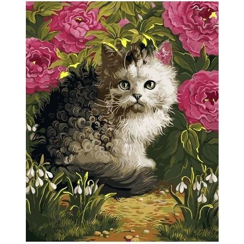 Кучерявый котенок в цветах 40х50