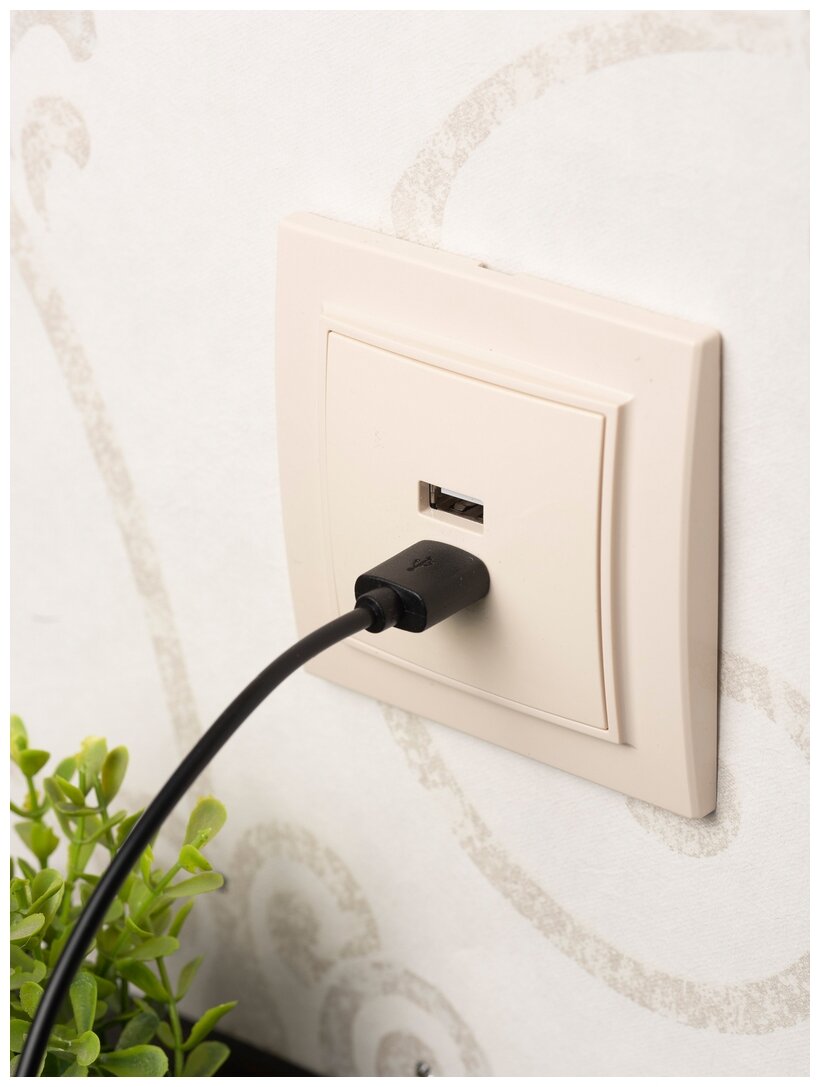 ERR-2USB-200 Минск Розетка USB 2-местная СП 2,1А бежевая EKF - фото №5