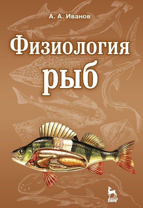 Физиология рыб: учебное пособие. Издание второе, стереотипное - фото №2