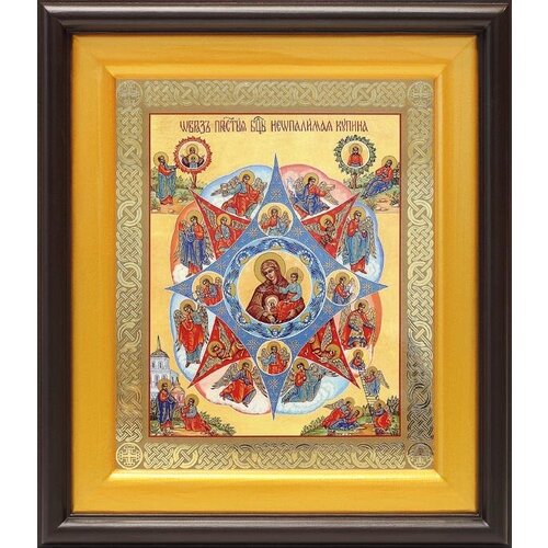Икона Божией Матери Неопалимая Купина, киот 21,5*25 см
