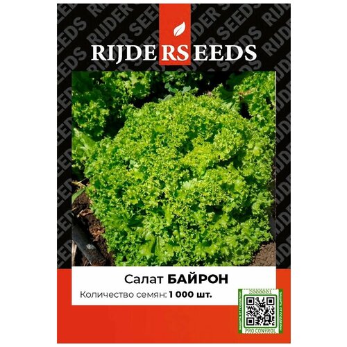 Семена салата Байрон - 1000 шт - Добрые Семена. ру семена салата магриб 1000 шт добрые семена ру