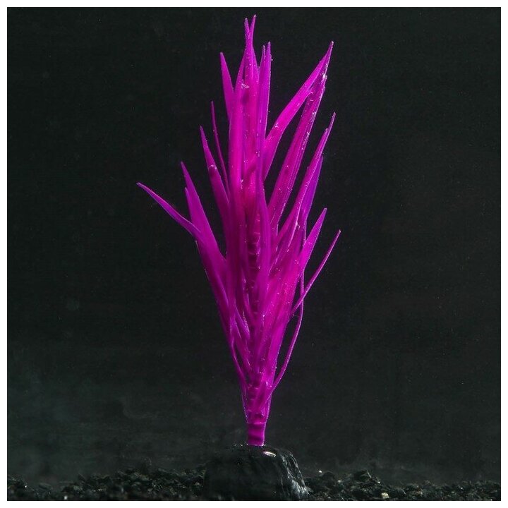 Растение аквариумное КНР силиконовое, светится в темноте, 7х12,5 см, фиолетовое
