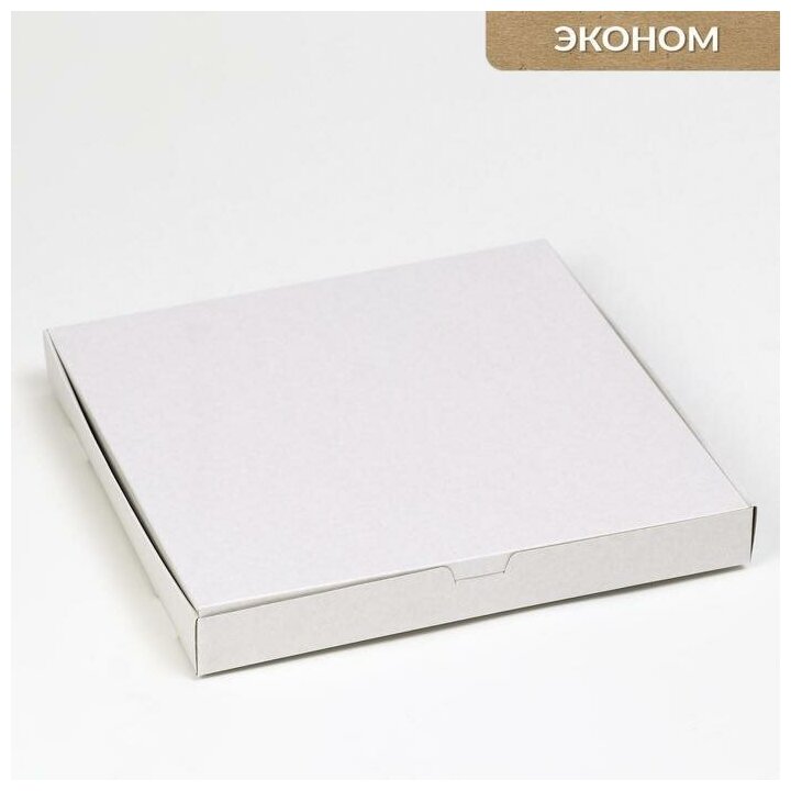 Коробка для пиццы, 30 х 30 х 3,5 см (10шт.)