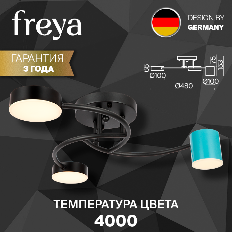 Потолочный светильник Freya FR6048CL-L6B