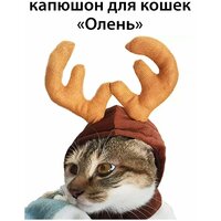 Лучшие Костюмы для кошек