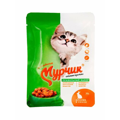 Для взрослых кошек с кроликом 75грх35шт