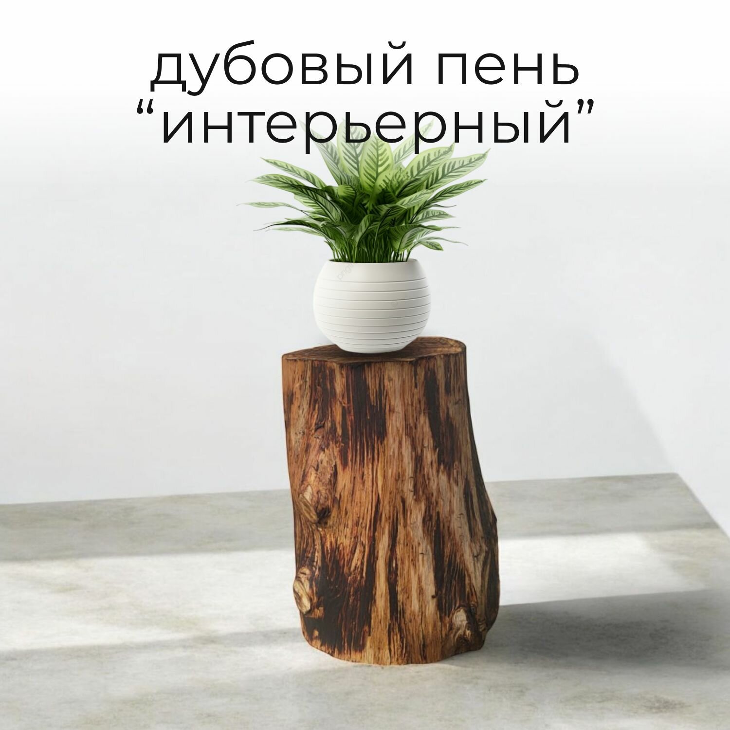 Дубовый пень интерьерный