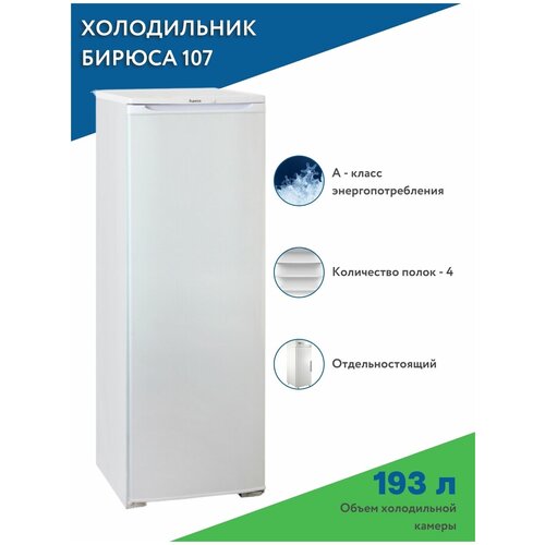 Холодильник / Холодильный шкаф Бирюса 107 / Бытовая техника для кухни