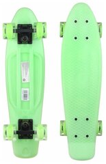 Мини Круизер Fish Skateboards 22" с флуоресцентной декой и светящимися колесами.