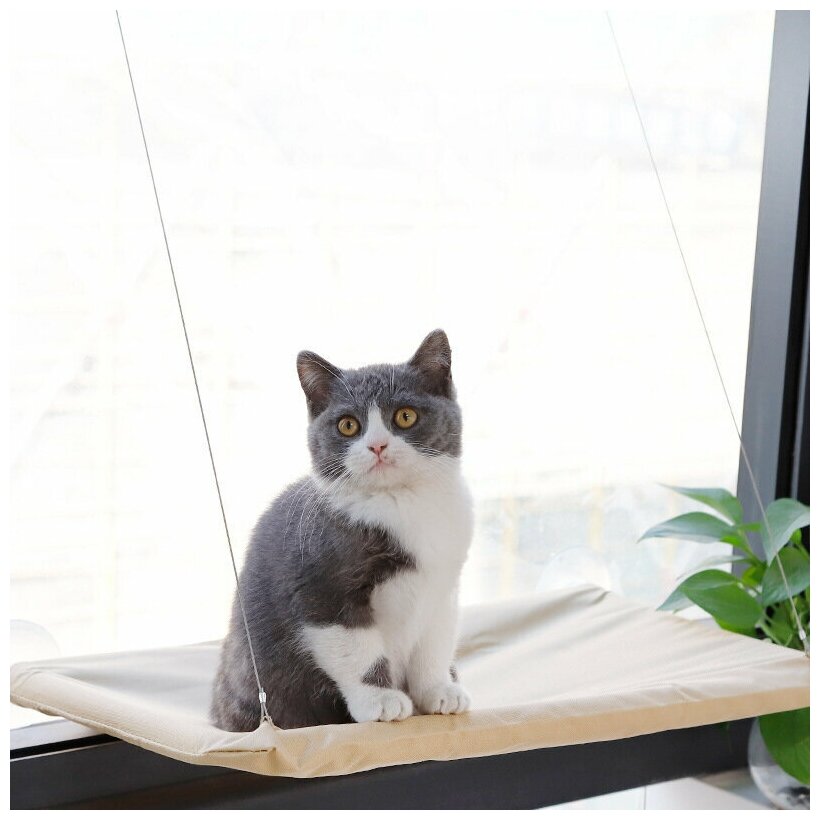 Гамак для кошек подвесной на присосках на окно, лежак - полка тканевый для животных - фотография № 3