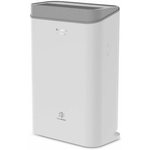 Очиститель воздуха Taurus Landscapes 1315600₽