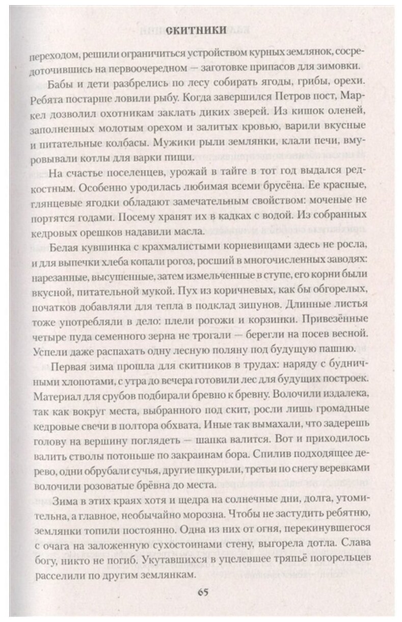 Скитники (Зиганшин Камиль Фарухшинович) - фото №4