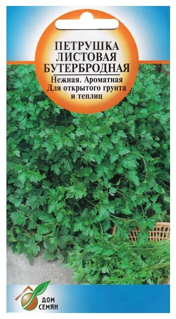 Семена Петрушка Бутербродная 420шт для дачи сада огорода теплицы / рассады в домашних условиях