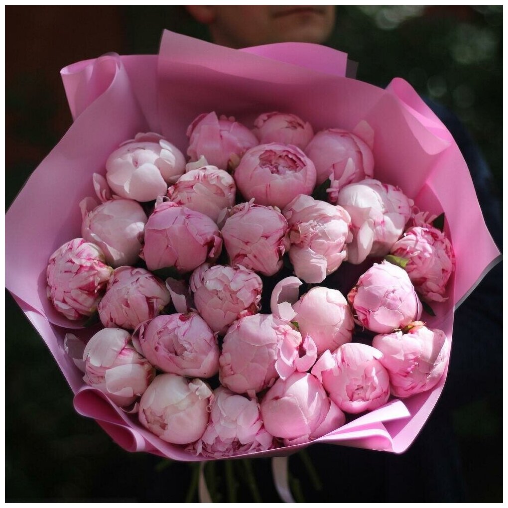Нежный букет живых цветов из ароматных пионов, цвет розовый, светлый, 25 шт, пионы Сара Бернар арт 94