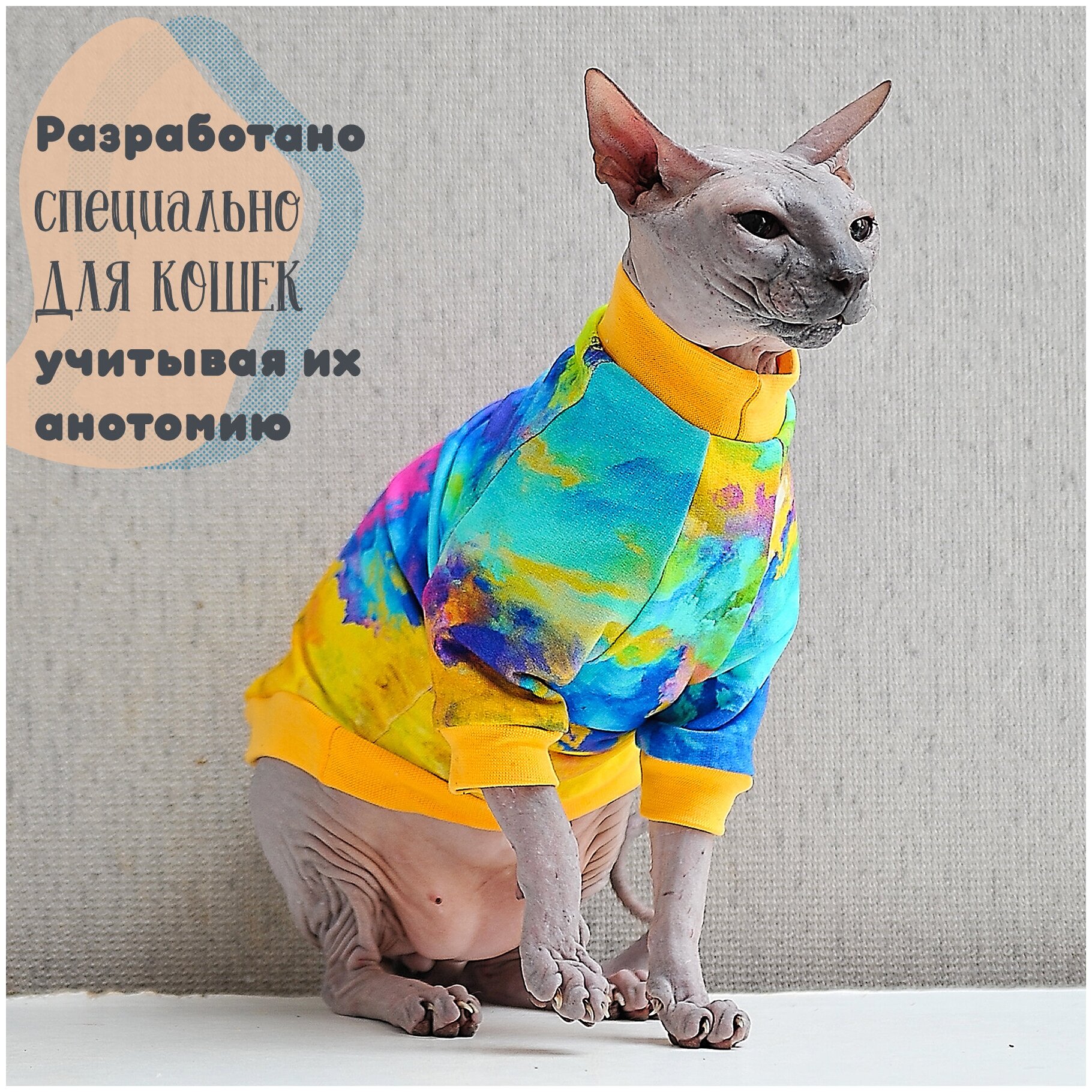 Одежда для кошек и котов - трикотажная кофта с рисунком Фестиваль красок, подходит для сфинксов - фотография № 3