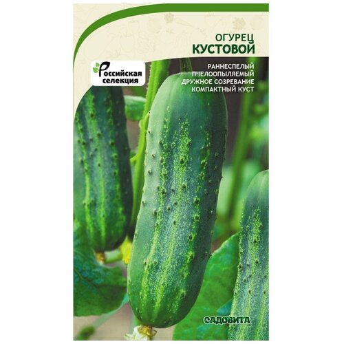 Семена садовита Огурец Кустовой 10 семечек 00160645