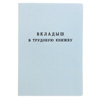 Вкладыш в трудовую книжку без голограммы