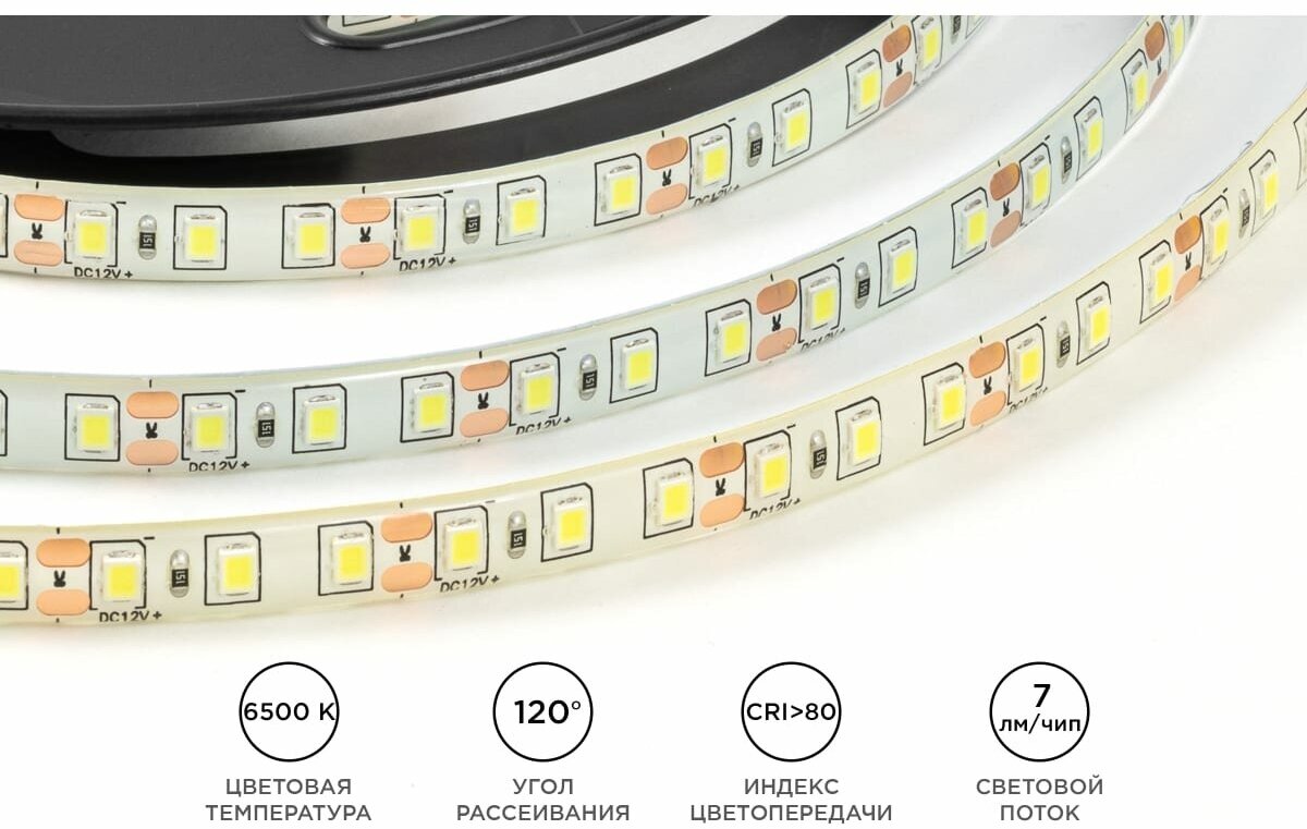 Светодиодная лента OGM 9,6W/m 120LED/m 2835SMD холодный белый 5M - фото №4