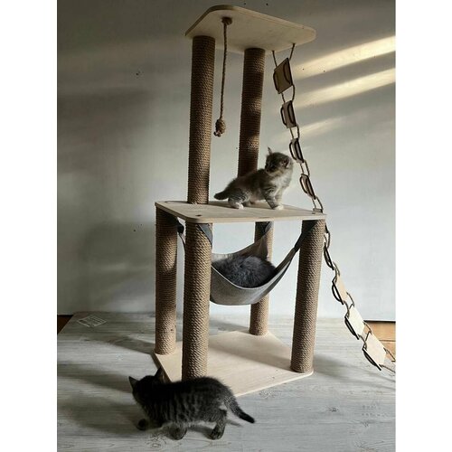 Когтеточка