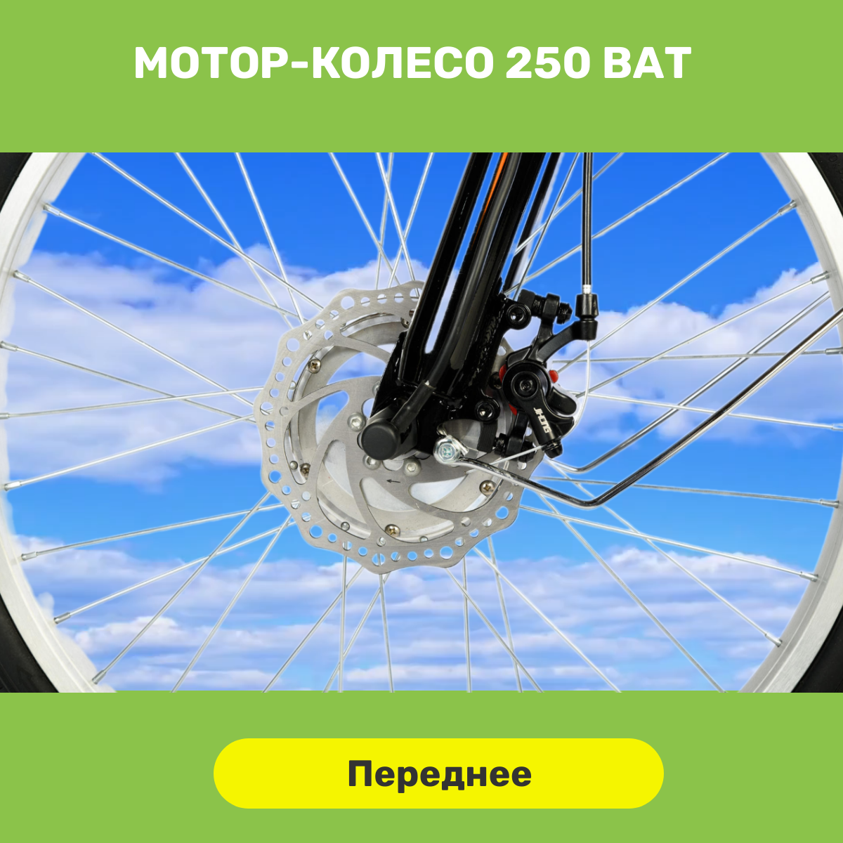 Электровелосипед взрослый трехколесный РВЗ Чемпион 24, черный 250,12 — фото 1