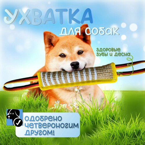 Ухватка, перетяжка, грызак для собак