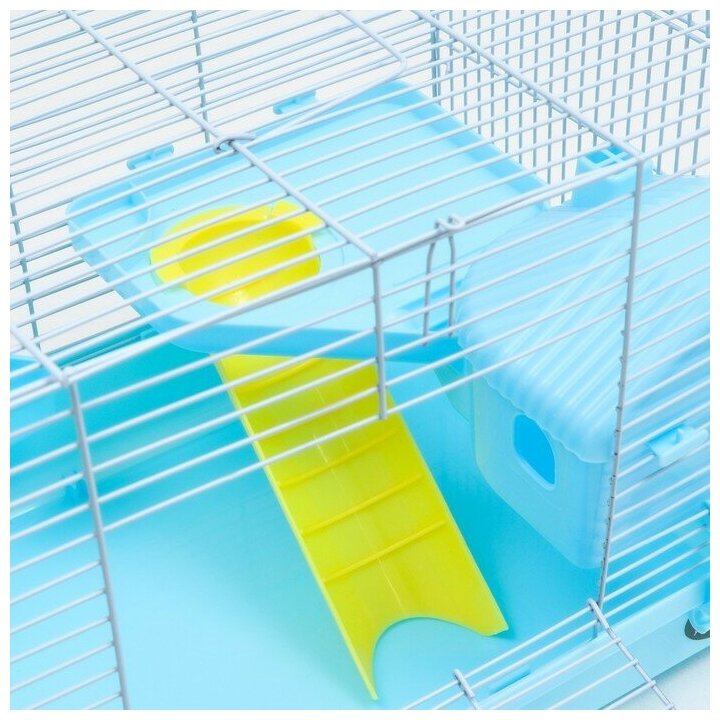 Клетка для грызунов"Пижон", с наполнением 47 х 30 х 27 см, голубая Пижон 7861077 . - фотография № 6