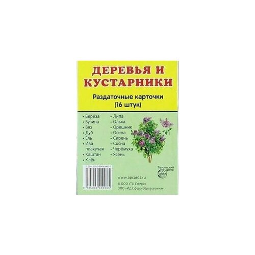 Деревья и кустарники. 16 раздаточных карточек 63 х 87