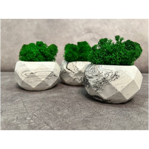 Набор кашпо со стабилизированным зеленым мхом