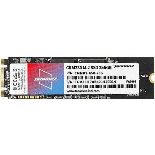 TGM30256A58 256 ГБ SSD M2 накопитель Tammuz GKM330 TGM30256A58 150700₽